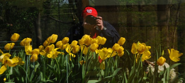 Rob Paine at Meadowlark Gardens