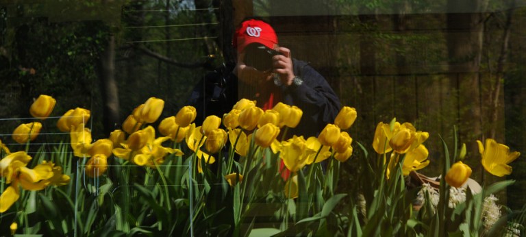 Rob Paine at Meadowlark Gardens