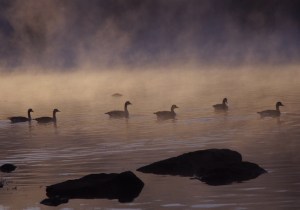deep creek lake fog rob paine