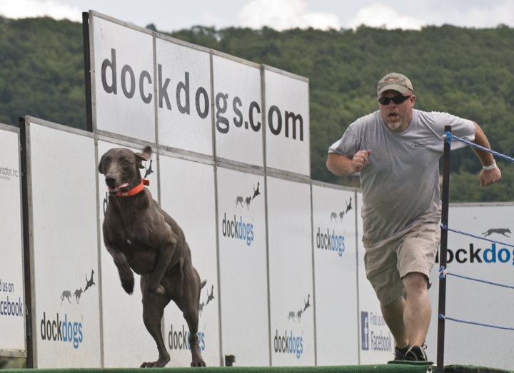 web chase dog rob paine