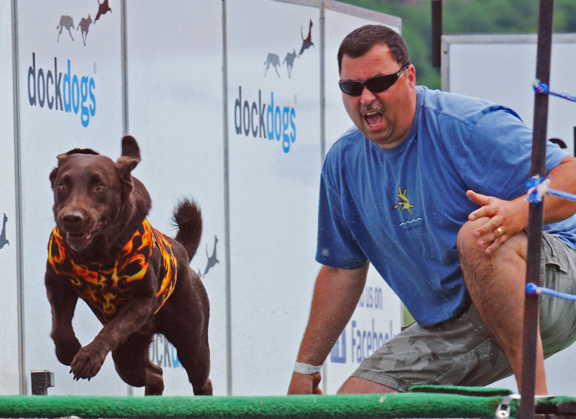 web dock dog paine one