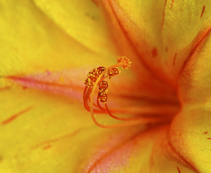 fourclocks rob paine web three