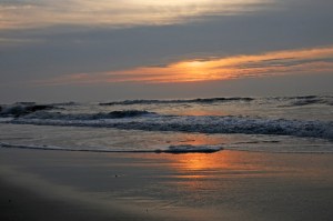 Rob Paine Chincoteague