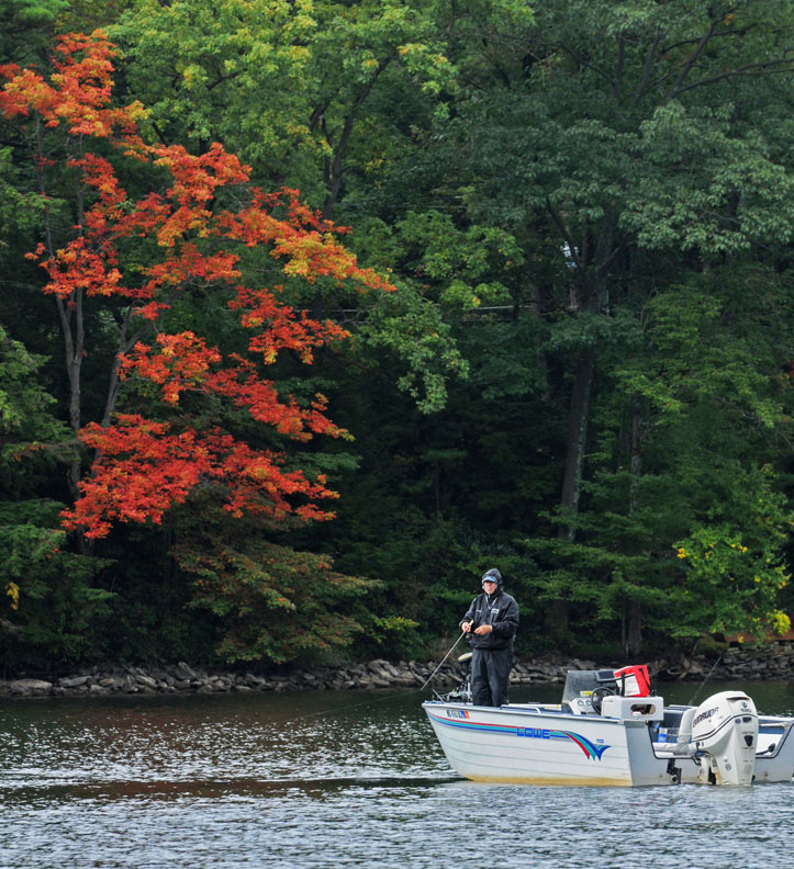 Rob Paine Fall Color DCL