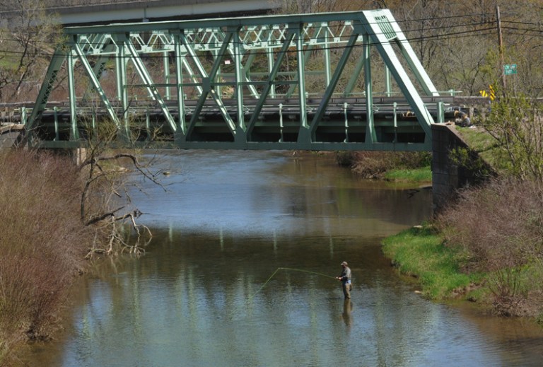 web fishing bride new