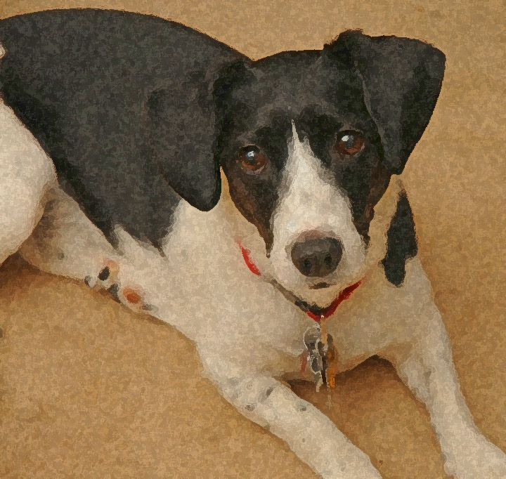 Rob Paine Painted Dog