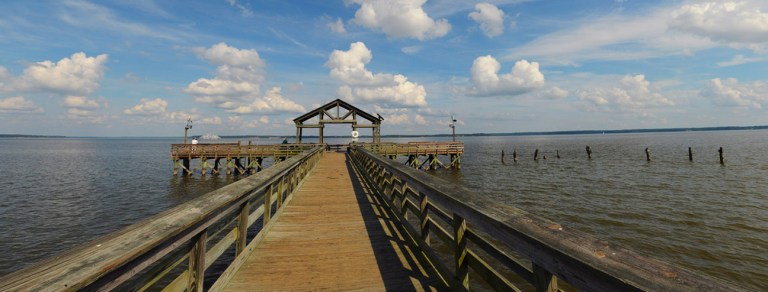 web Rob Paine Park Panorama