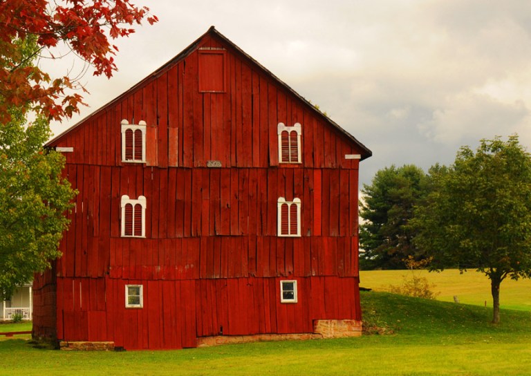 web saturated rob paine