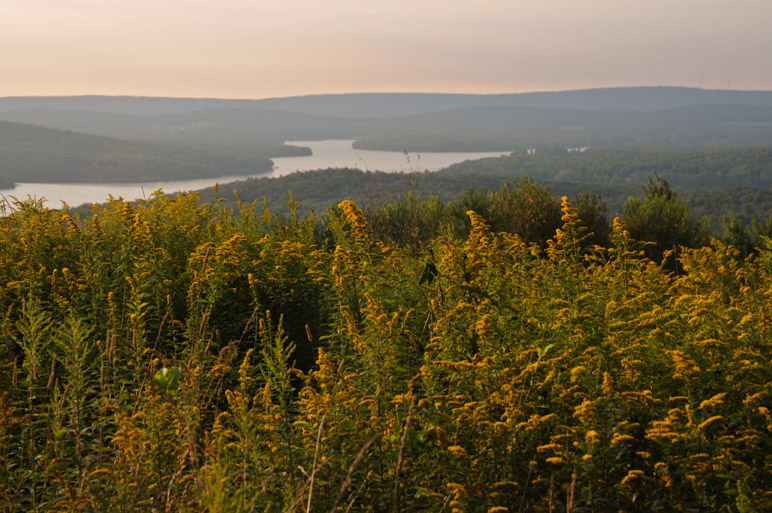 Paine Deep Creek Lake View