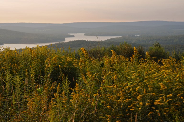 Paine Deep Creek Lake View