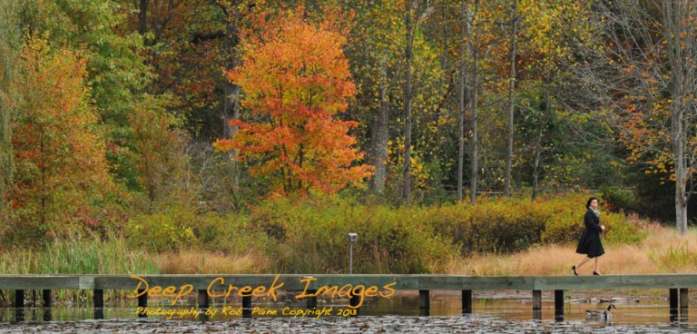 aaaperson board walk DSC_8043