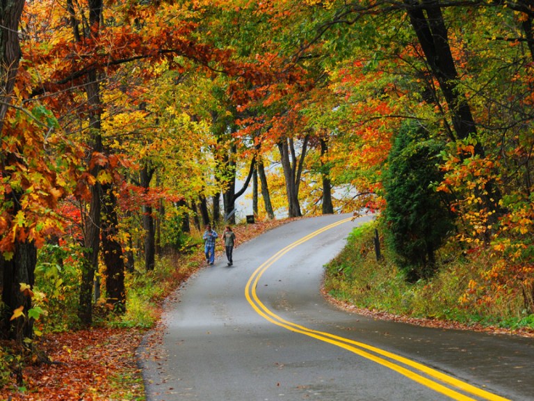 WEB COLOR COUNTRY ROAD