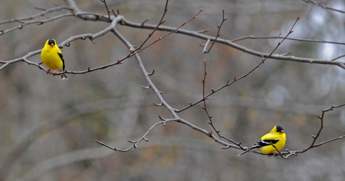 Photo with the most votes for the week ending November 3, 2013