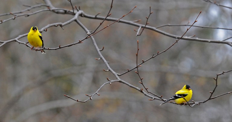 Photo with the most votes for the week ending November 3, 2013