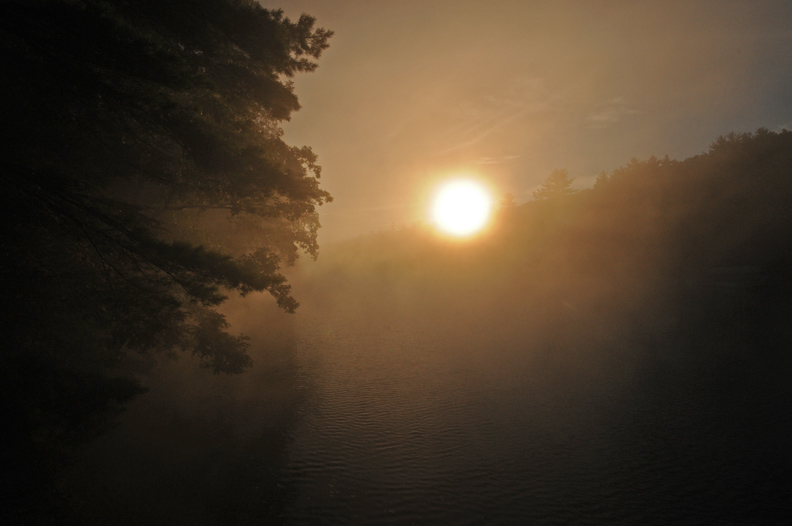 web  morning rob paine