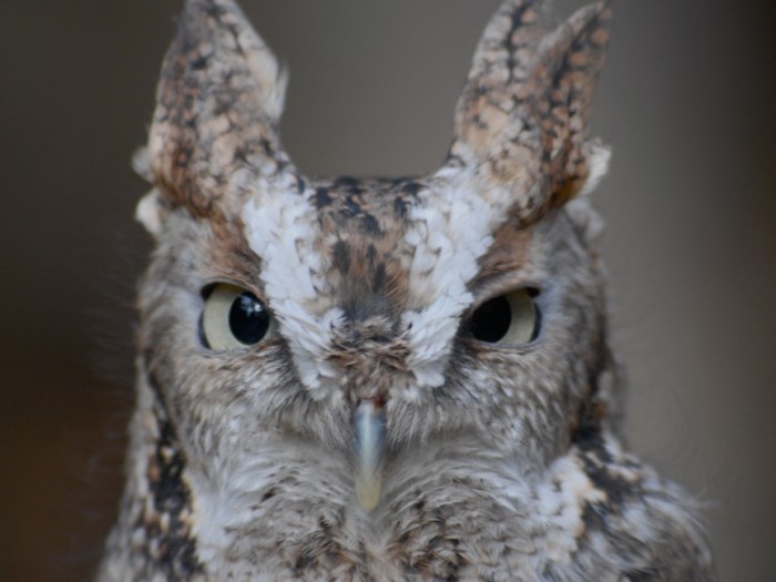 Photo with most votes for week ending Oct. 27, 2013