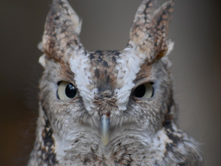 Photo with most votes for week ending Oct. 27, 2013