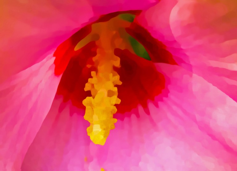 web paine flower two