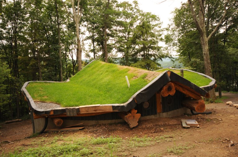 web rob paine grass top