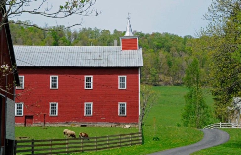 web  rob paine west va barn