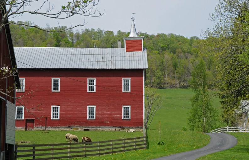 web rob paine west va barn