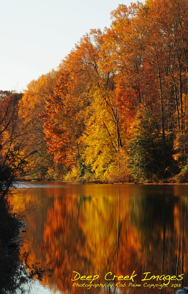 web  fall colors copy