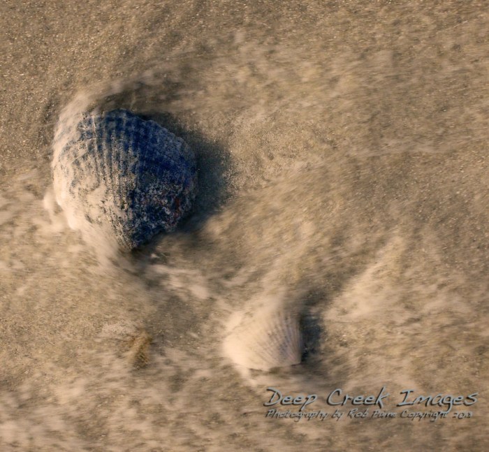 web layers rob paine