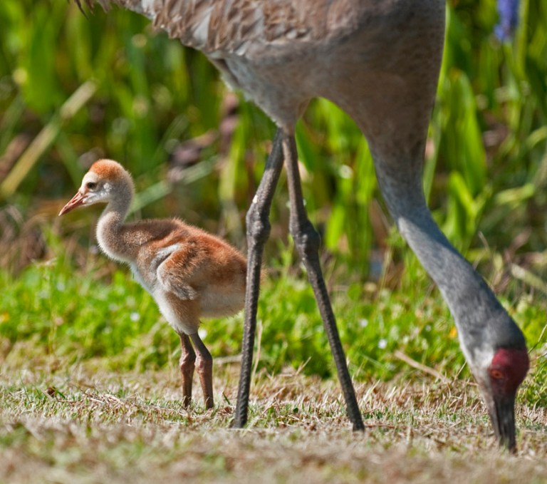 web surprise rob paine