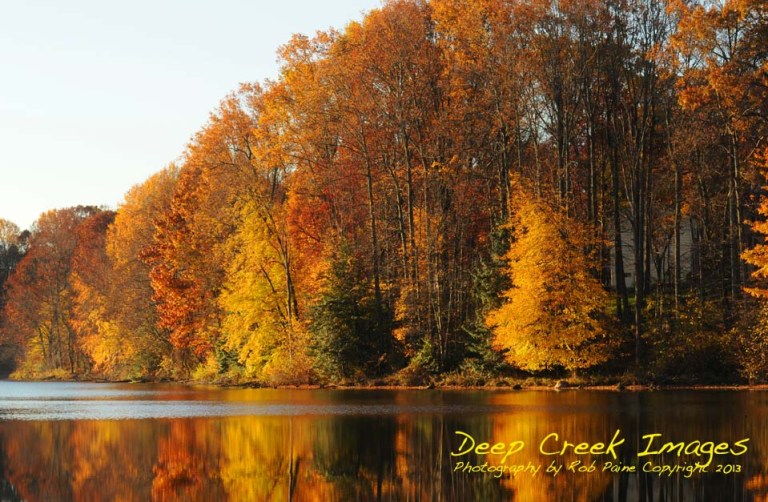 web two color sunday