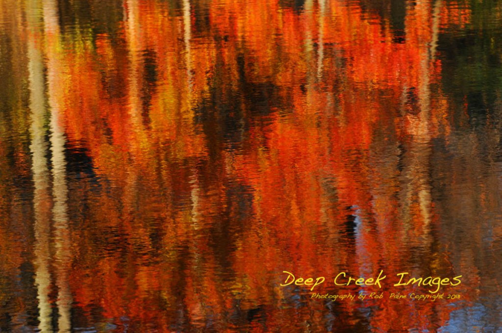 weblakecolorrobpaine