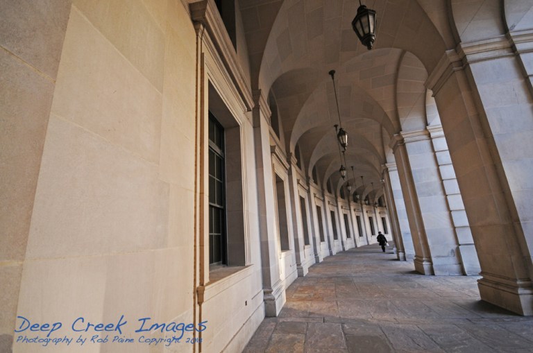 dc winter seven rob paine