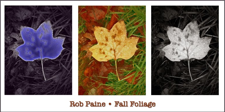 Painted Leaves Rob Paine