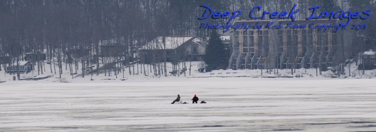 fish infront of willowwisp