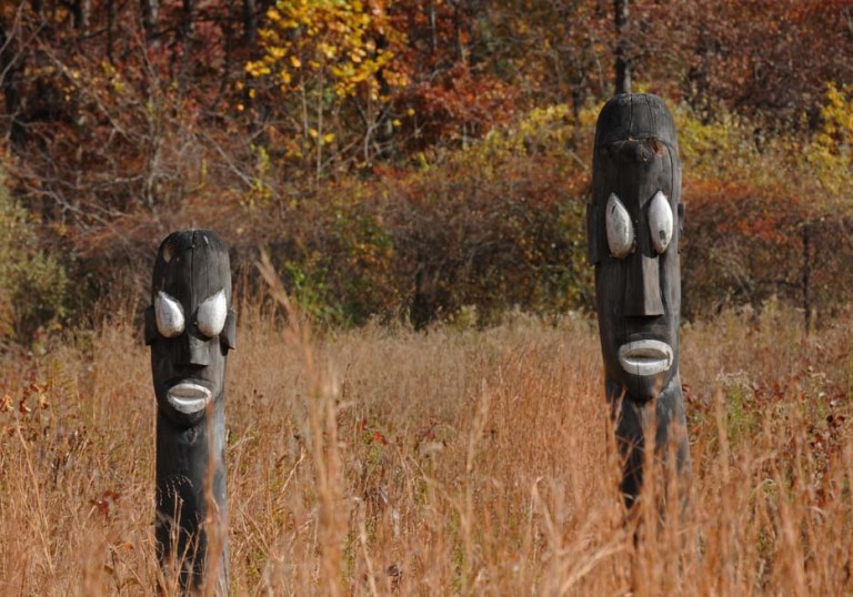 rob paine meadowlark good perspective