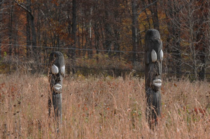 rob paine meadowlark no perspective