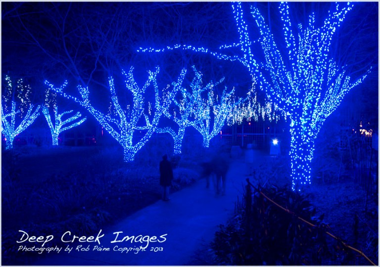 Your Favorite Photo for Week Ending Dec. 8