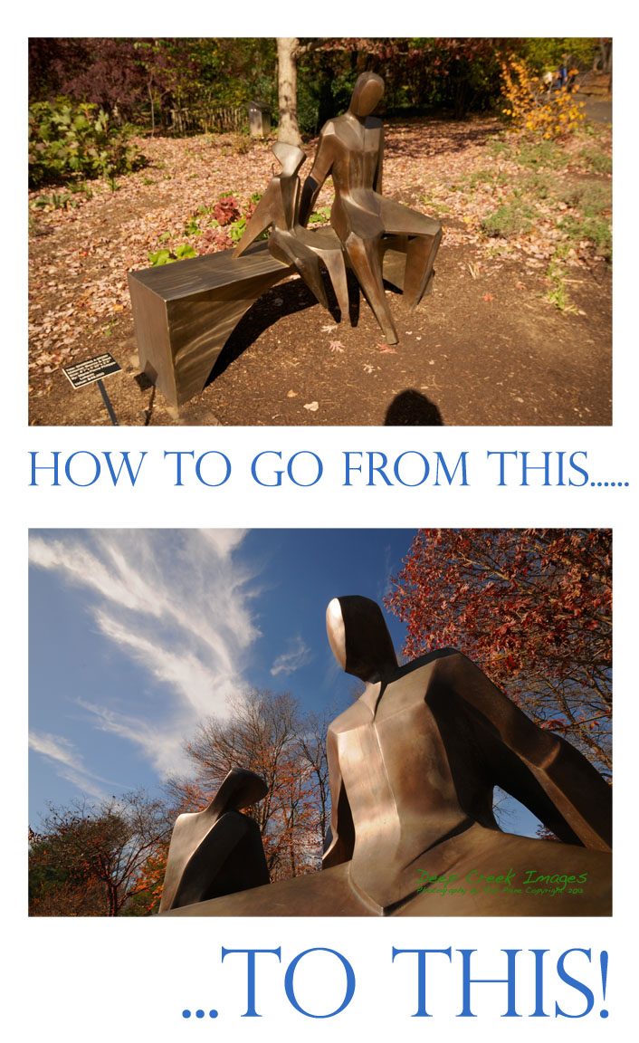 web rob paine persepctive