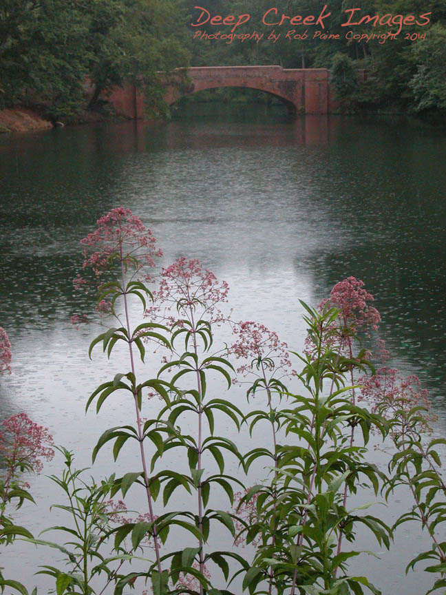 rob paine biltmore web