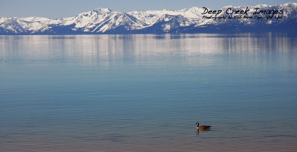 rob paine lake tahoe goow