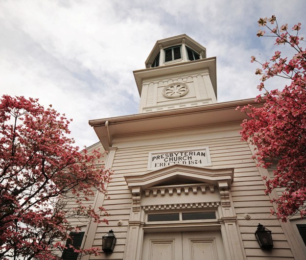 rob paine vienna web two