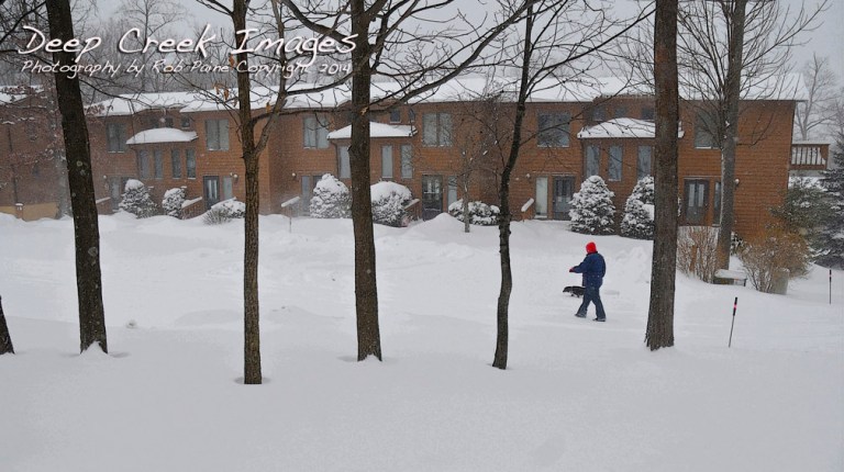 rob paine walk in the snow at dcl