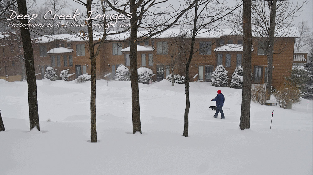 rob paine walk in the snow at dcl