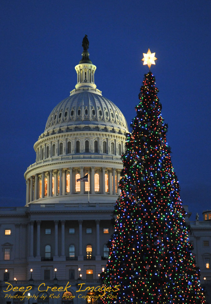 rob paine web capitol building