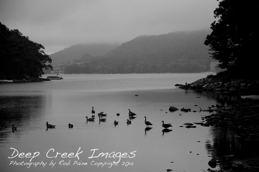 Photo by Rob Paine, Deep Creek Images