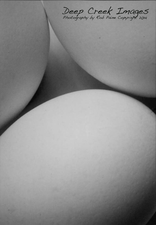 Photo voted favorite from week ending Feb. 2