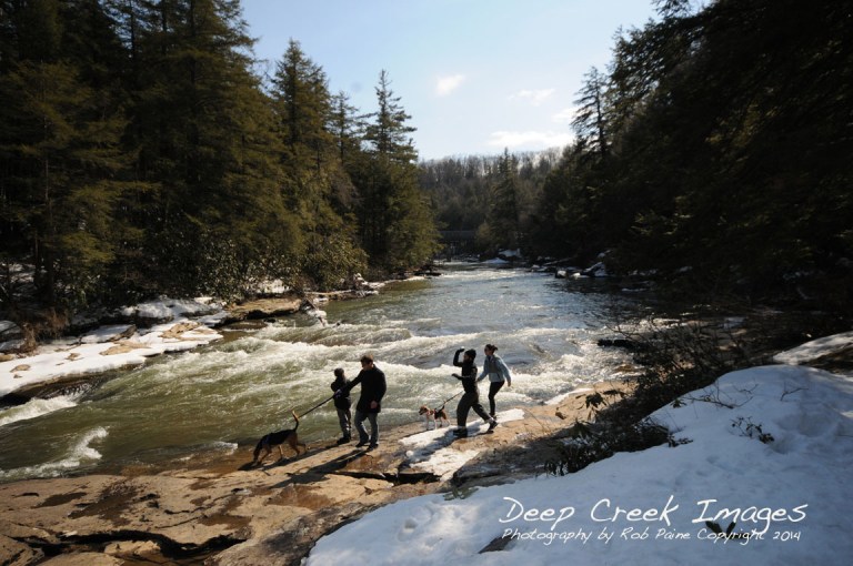 dog walk on river rob paine