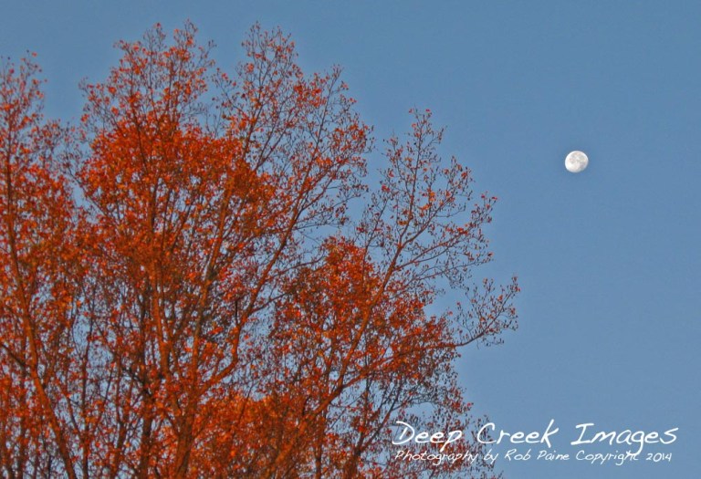 rob paine autumn moon rise