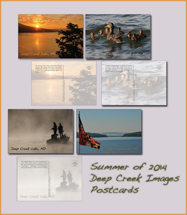 new post card display