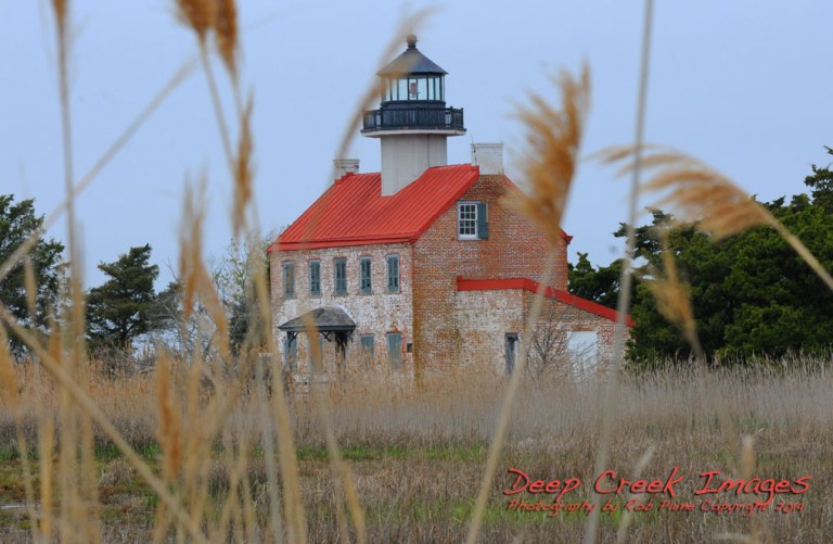 rob paine east point