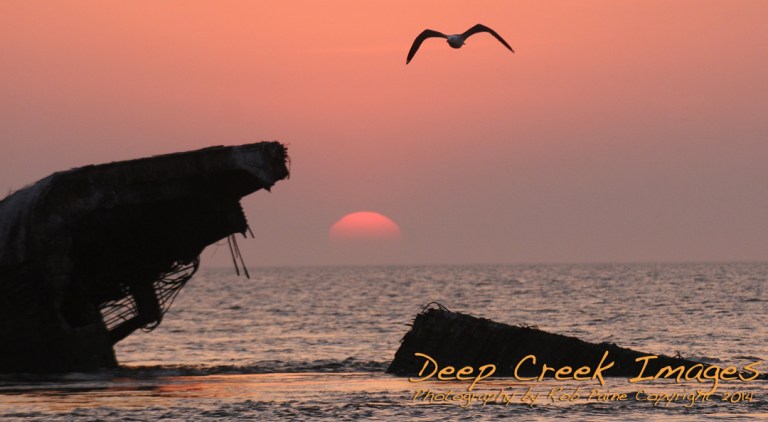 rob paine sunset beach